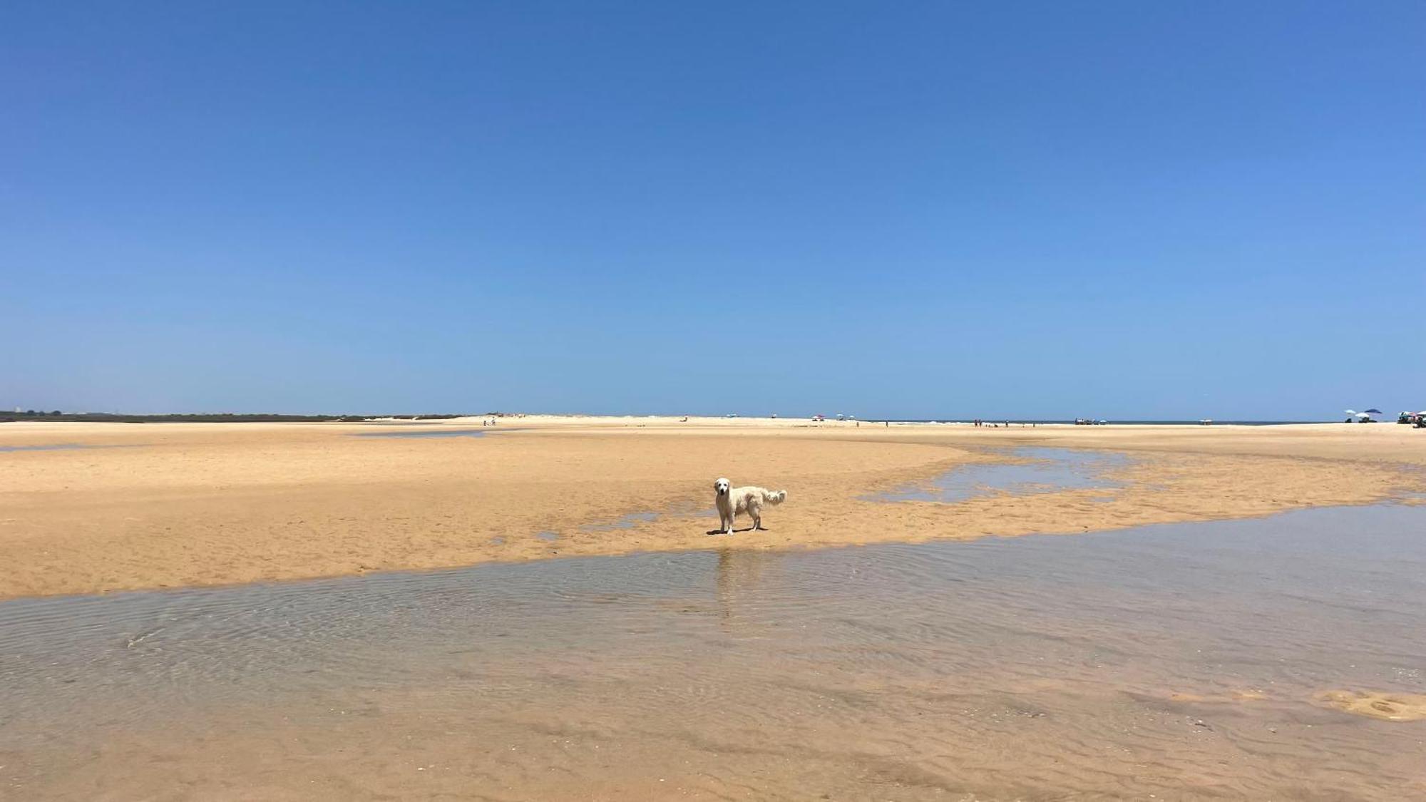 Willa Dona Maria 66 Praia Da Luz Zewnętrze zdjęcie